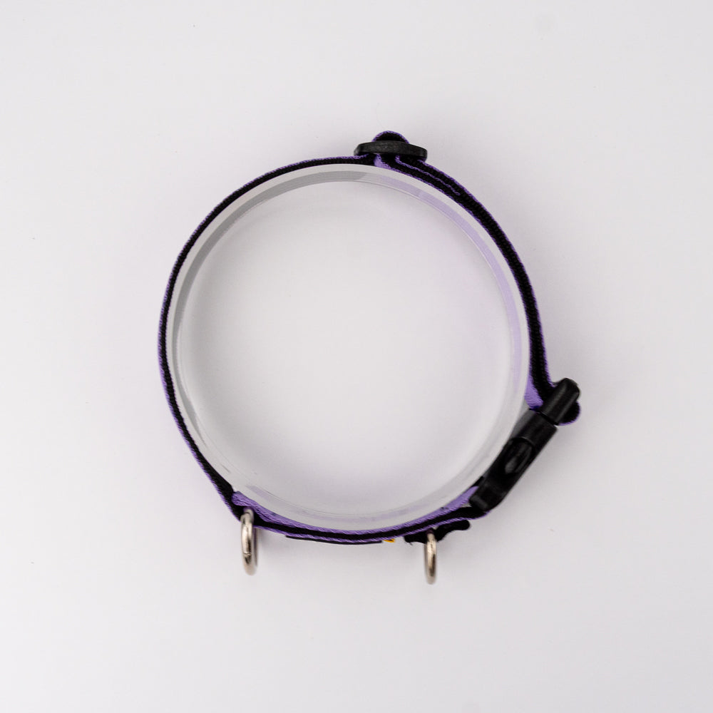 Collar Jumbo - Purpura