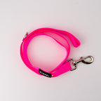 Correa urban - Fucsia