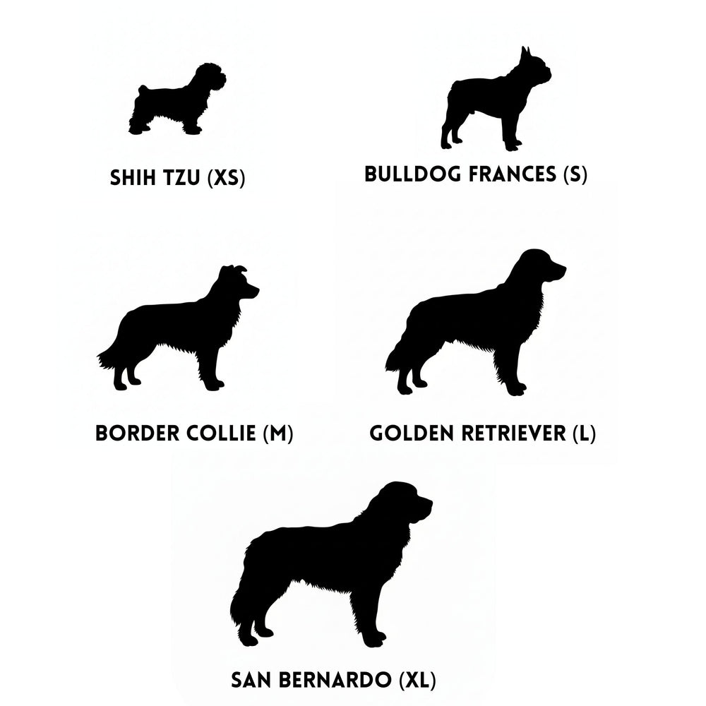 Size chart image